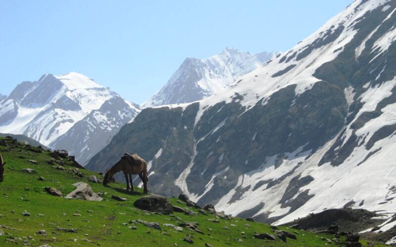 Hotel Golden Residency, Pahalgam 3